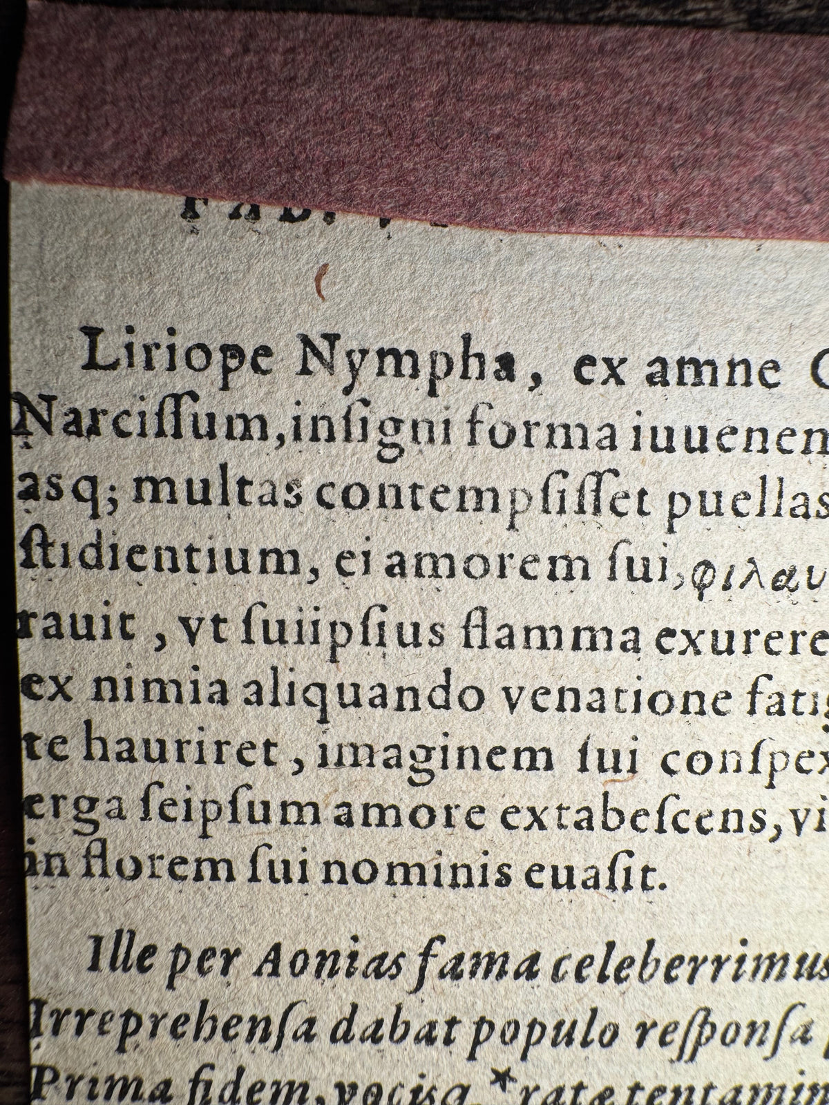 Original 16th-Century Renaissance Woodcut — Narcissus at the Fountain