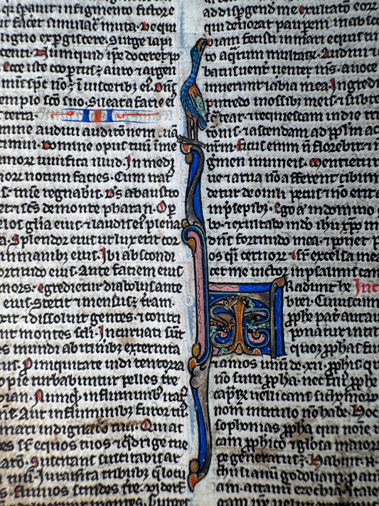 13th-Century Bible Manuscript Leaf on Vellum – Habakkuk to Zephaniah (c. 1280, France)