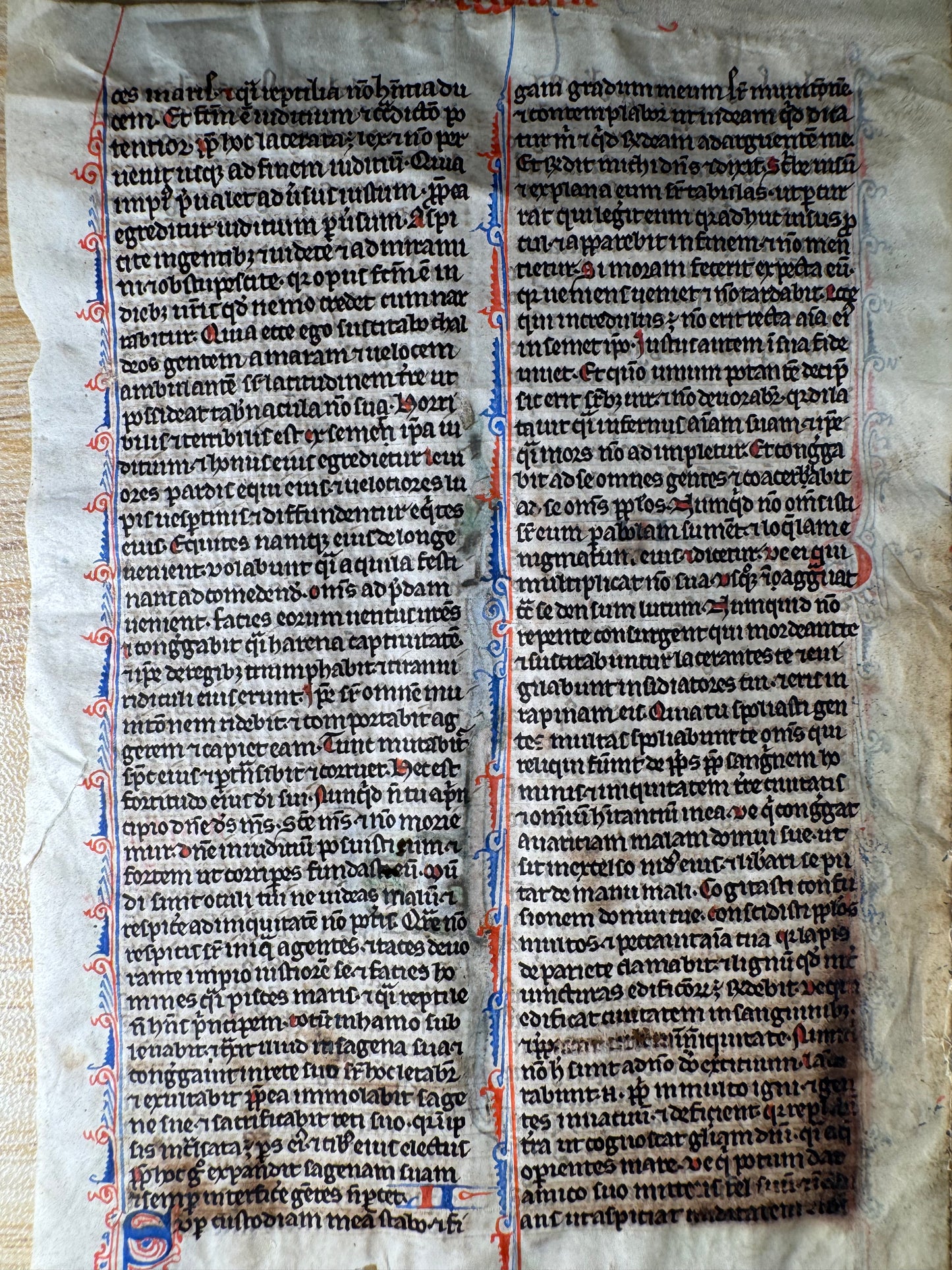 13th-Century Bible Manuscript Leaf on Vellum – Habakkuk to Zephaniah (c. 1280, France)