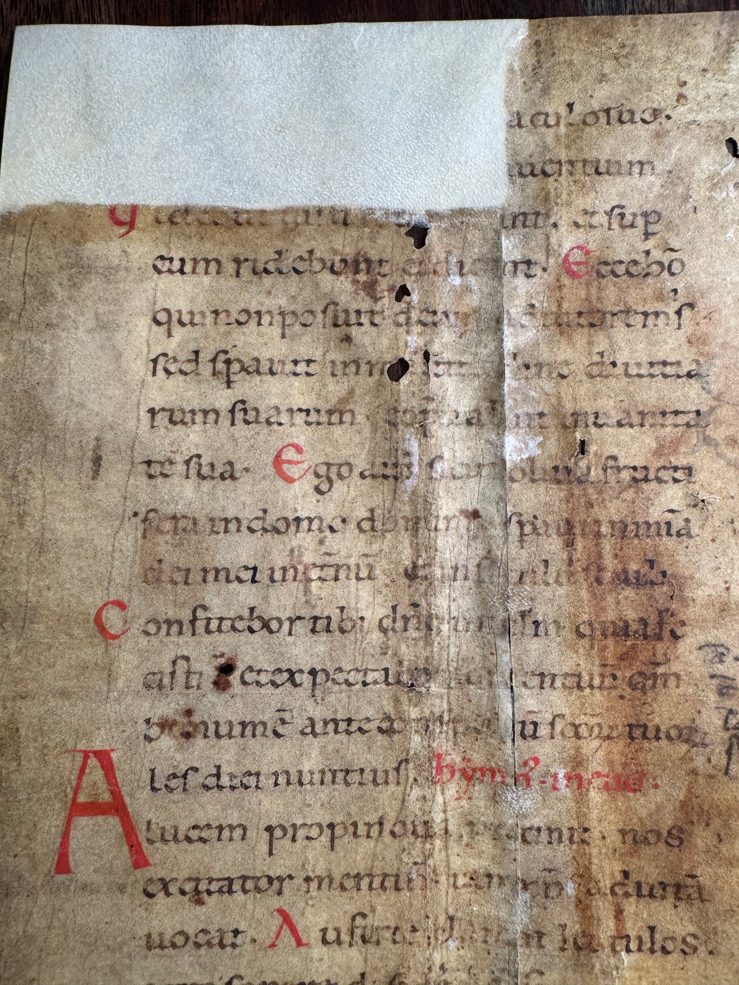 Illuminated Medieval Breviary Manuscript - 12th Century - Psalm 52