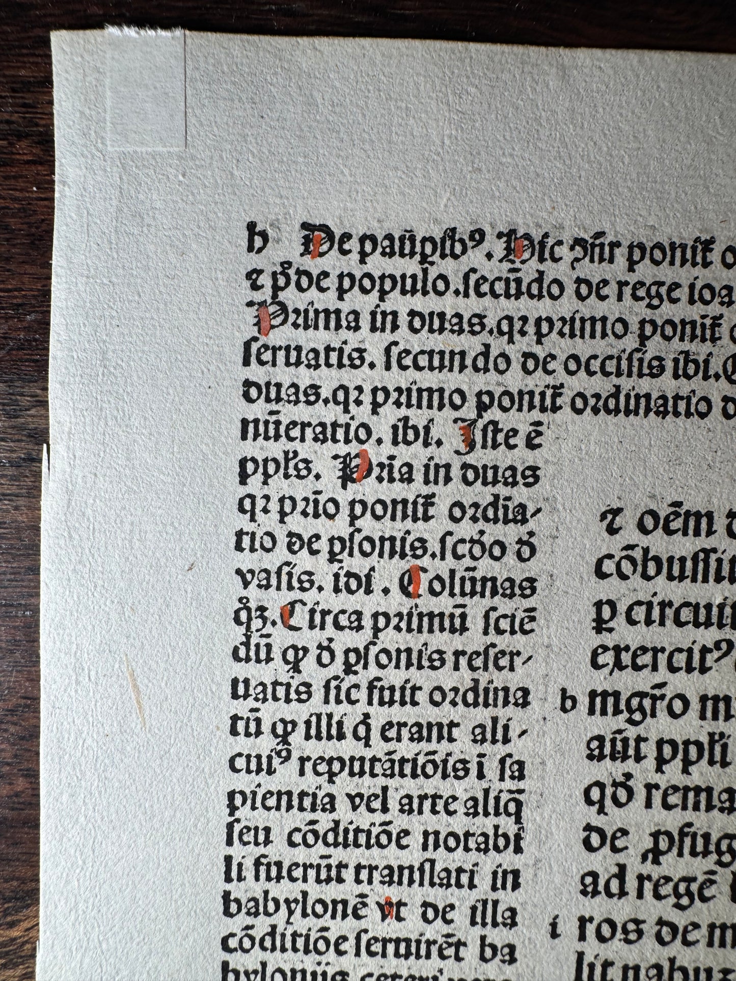 1493 Anton Koberger Latin Bible Leaf