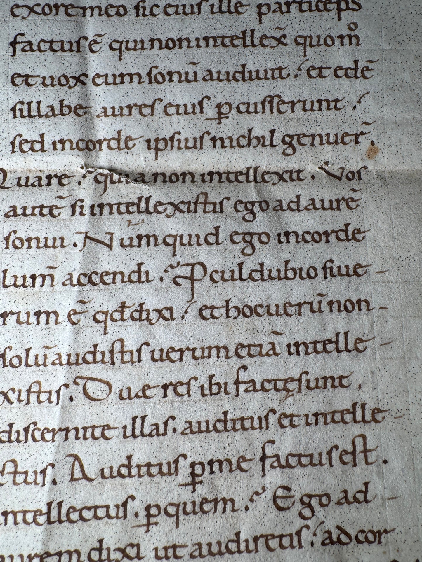 Augustine Manuscript - Early 11th Century  - 1,000 Years Old - John’s Gospel