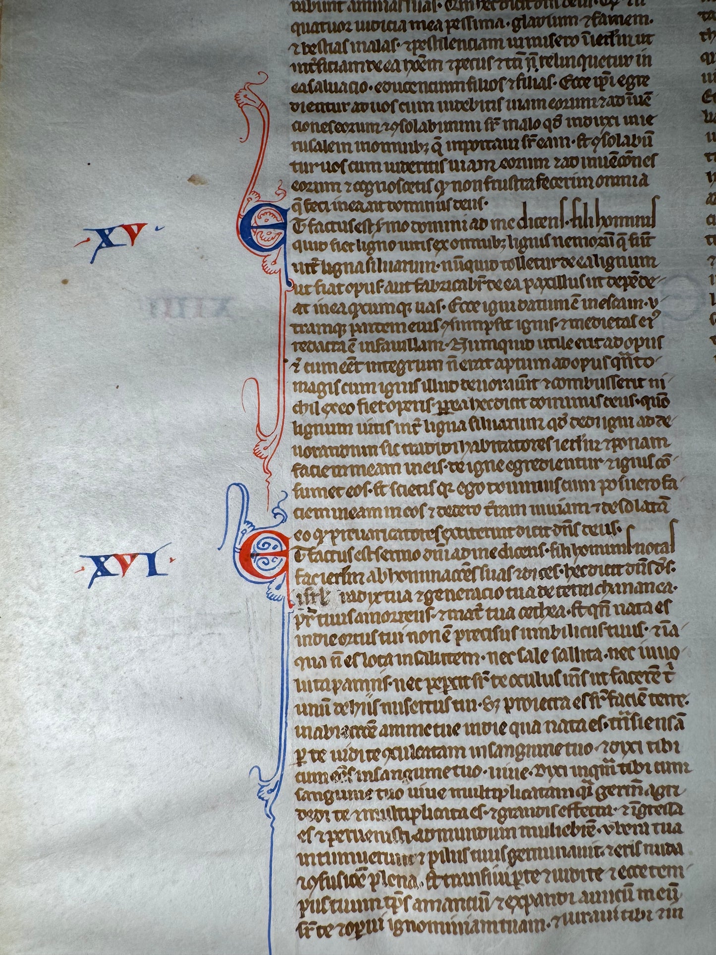 Rare 63-Line 13th-Century Paris Bible Leaf – Book of Ezekiel, France, Paris