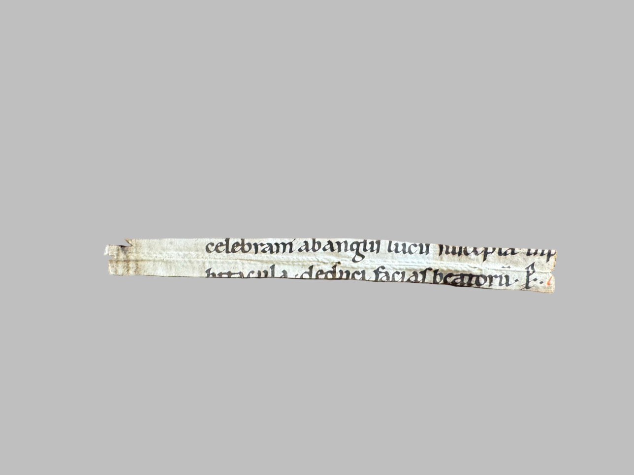 Rare Carolingian Manuscript Fragment – ca. 10th-11th Century Liturgical Missal