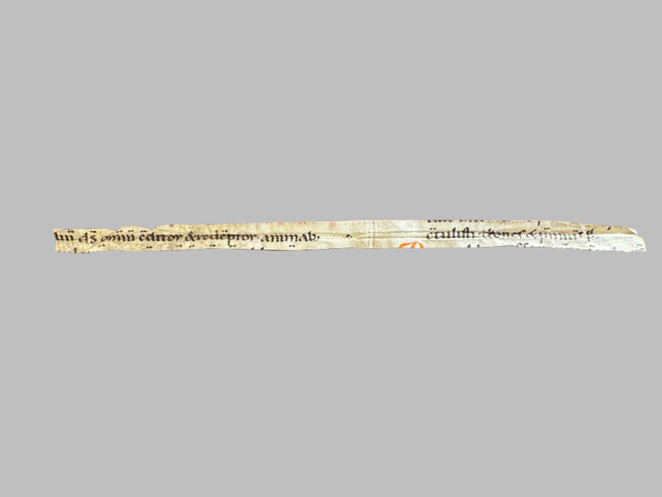 Rare Carolingian Manuscript Fragment – ca. 10th-11th Century Liturgical Missal
