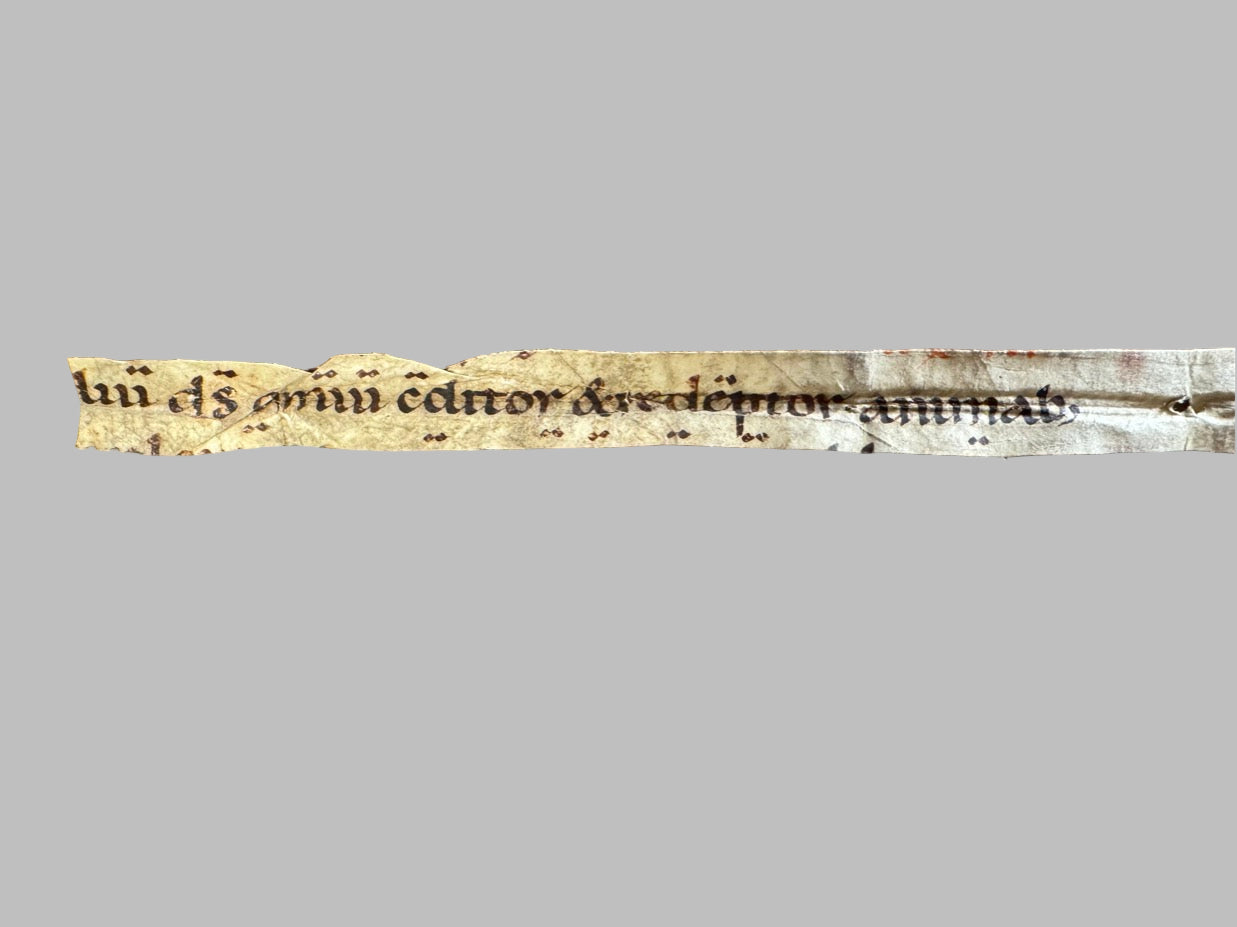 Rare Carolingian Manuscript Fragment – ca. 10th-11th Century Liturgical Missal