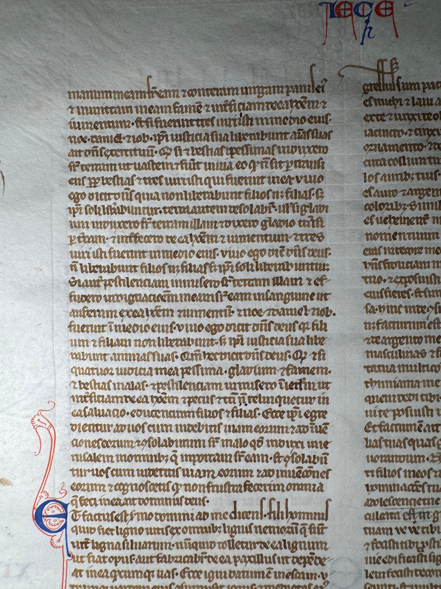Rare 63-Line 13th-Century Paris Bible Leaf – Book of Ezekiel, France, Paris