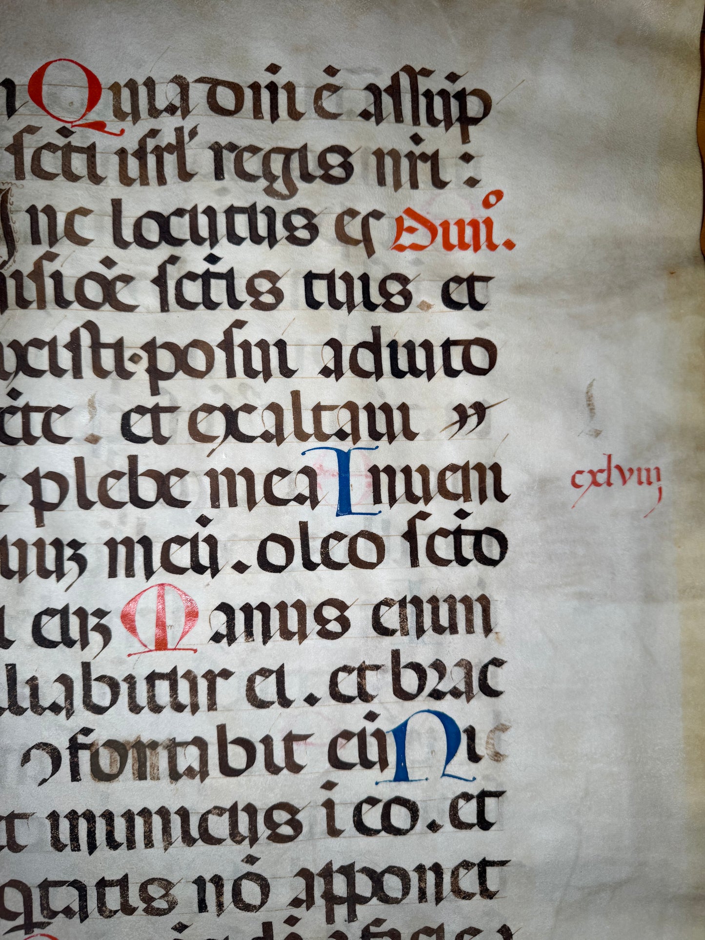 Huge 16th-Century Illuminated Choir Book Leaf – Psalm 88 (Italy or Spain, c. 1500–1550)