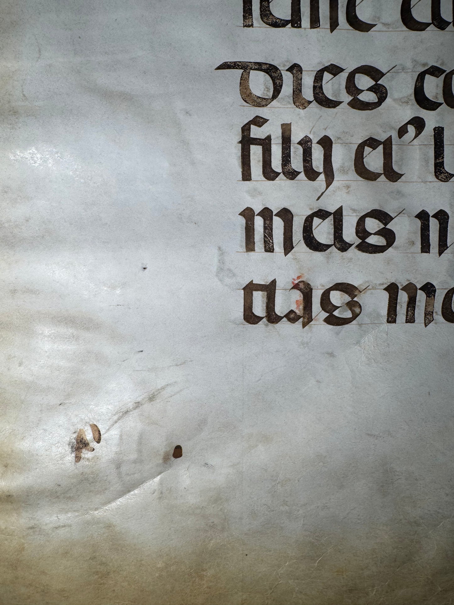 Huge 16th-Century Illuminated Choir Book Leaf – Psalm 88 (Italy or Spain, c. 1500–1550)