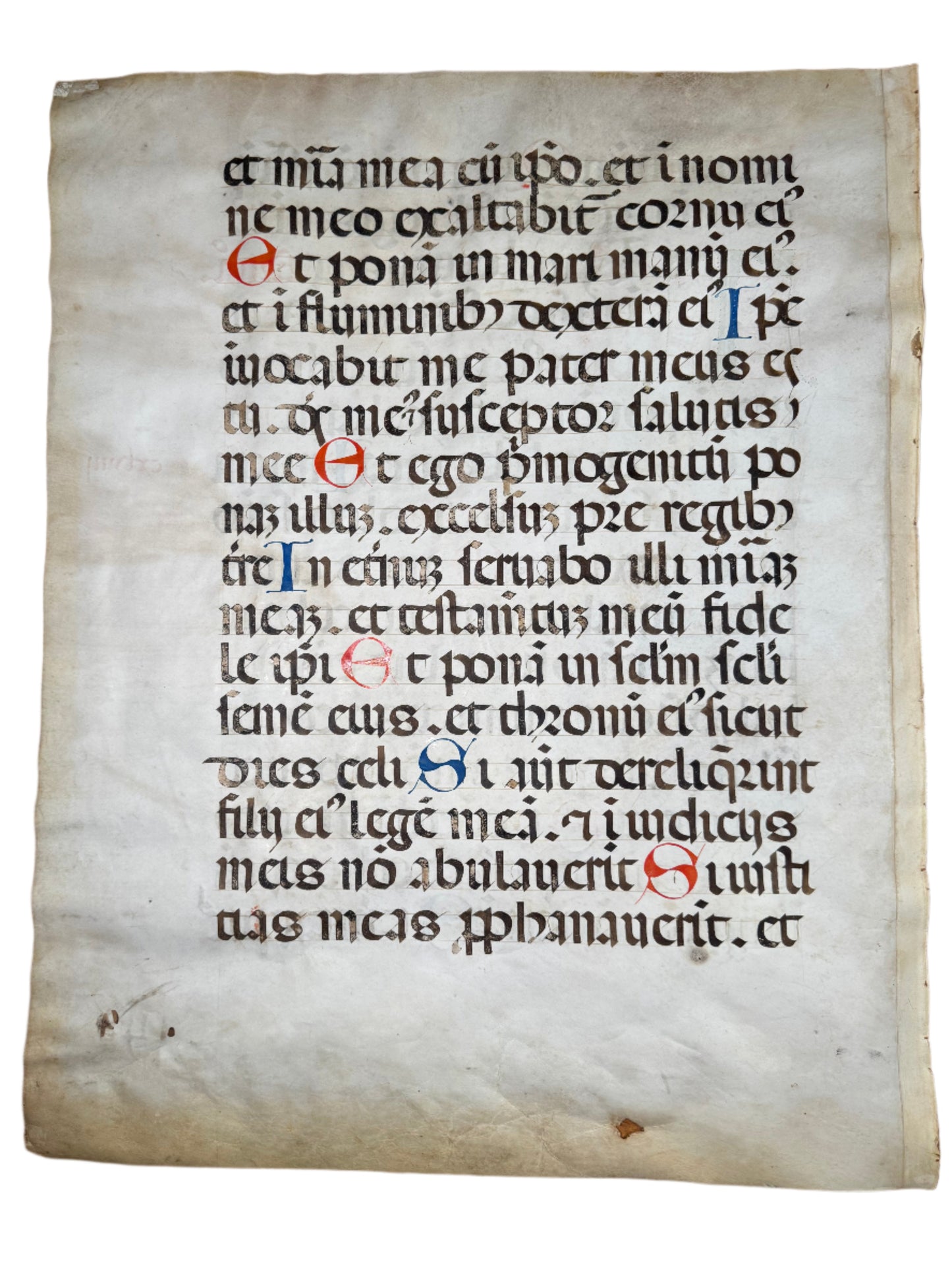 Huge 16th-Century Illuminated Choir Book Leaf – Psalm 88 (Italy or Spain, c. 1500–1550)
