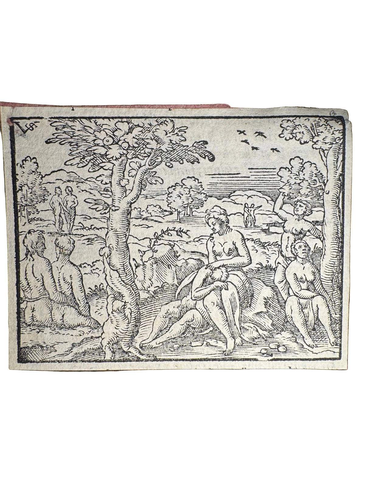 Original 16th-Century Virgil Solis Woodcut — The Creation of Mankind