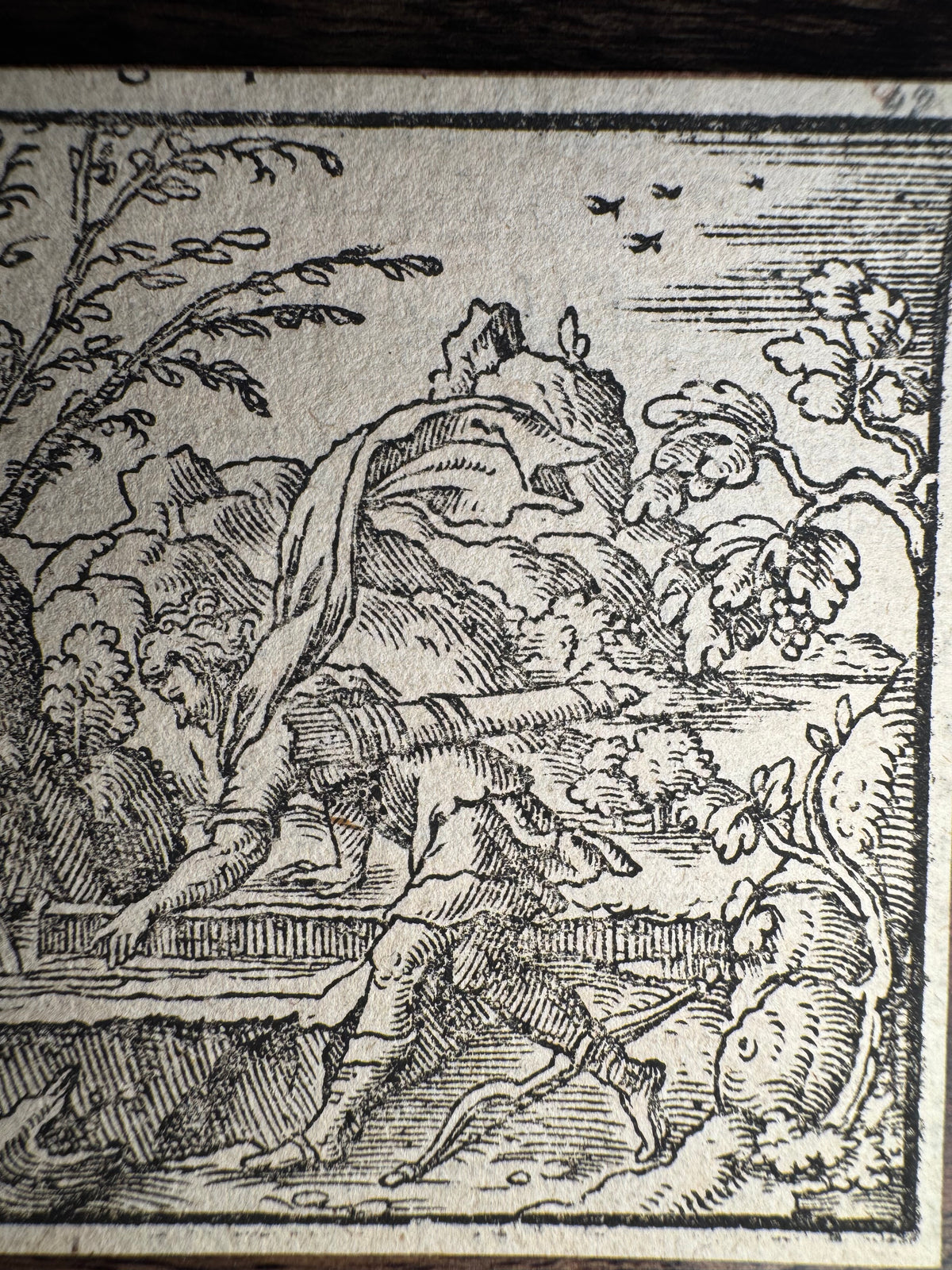 Original 16th-Century Renaissance Woodcut — Narcissus at the Fountain