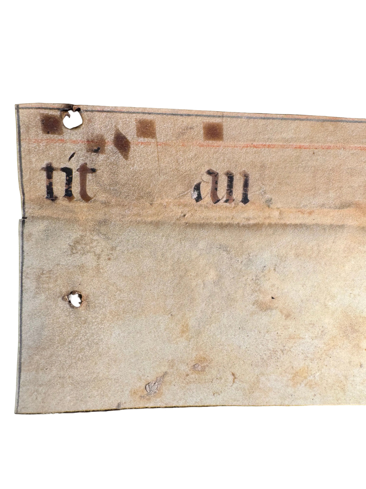 Medieval Antiphonal Fragment – Gaude Maria Virgo – c. 14th–15th Century