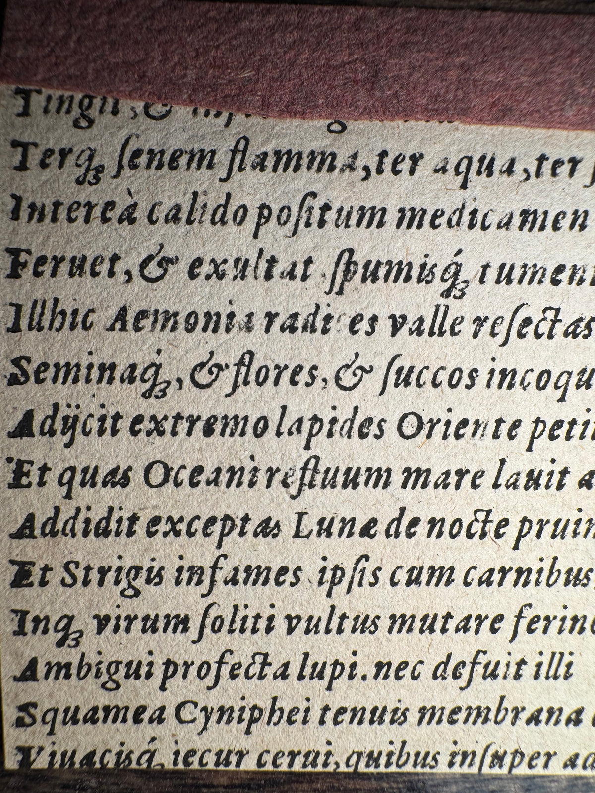 Original 16th-Century Virgil Solis Woodcut — Medea Rejuvenating Aeson