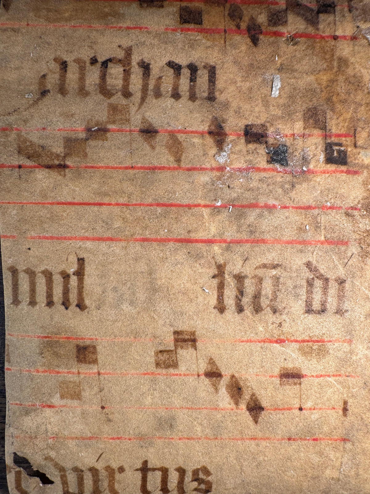 Medieval Antiphonal Fragment – Gaude Maria Virgo – c. 14th–15th Century