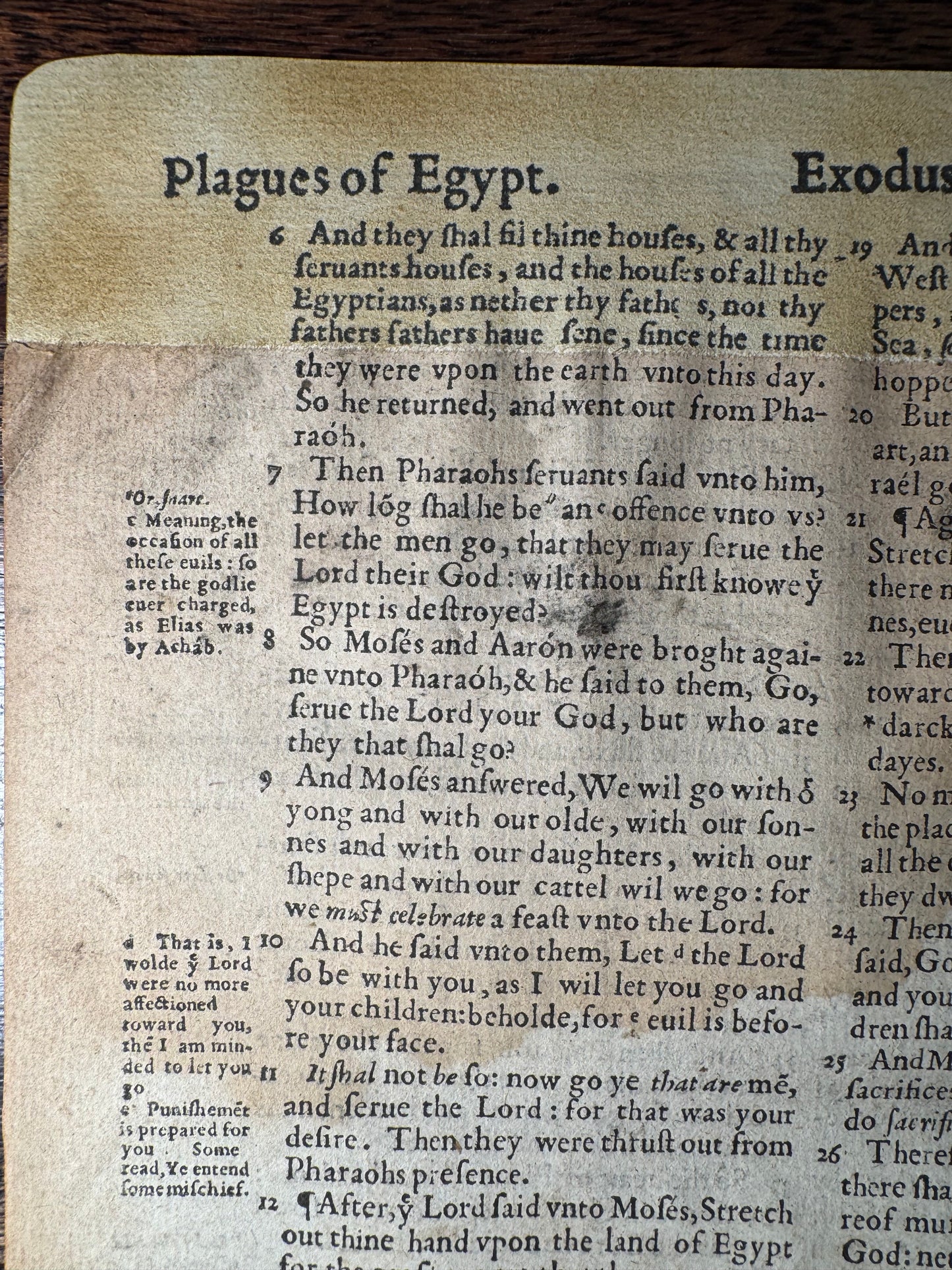 1560 First Edition Geneva Bible Leaf