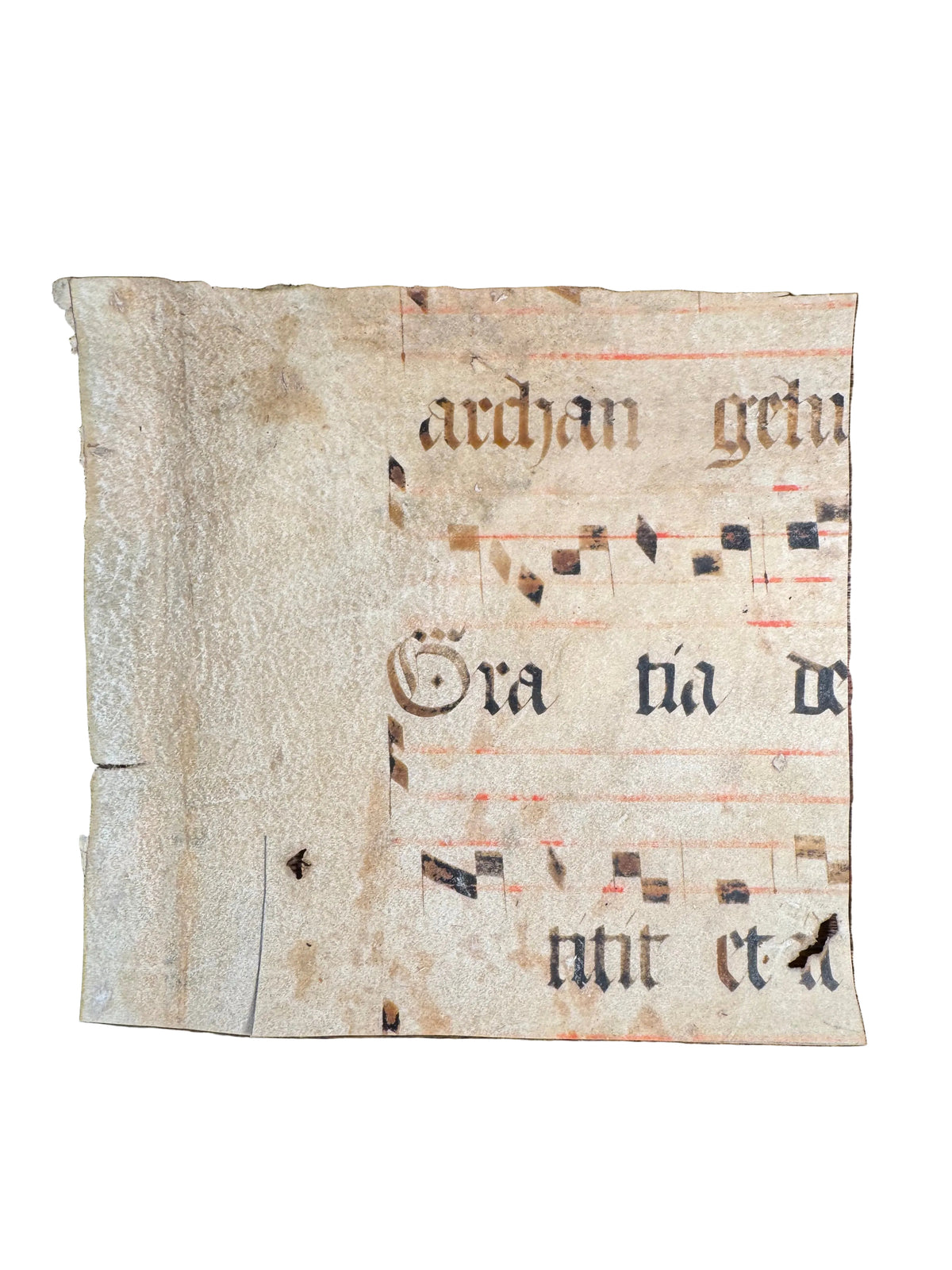 Medieval Antiphonal Fragment – Gaude Maria Virgo – c. 14th–15th Century