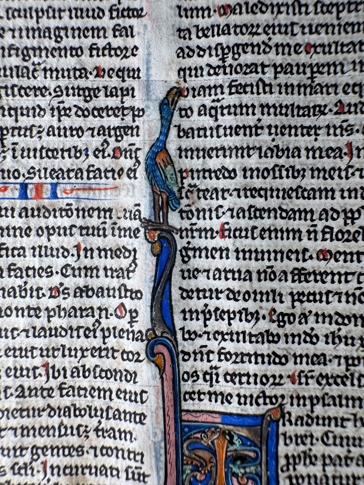 13th-Century Bible Manuscript Leaf on Vellum – Habakkuk to Zephaniah (c. 1280, France)