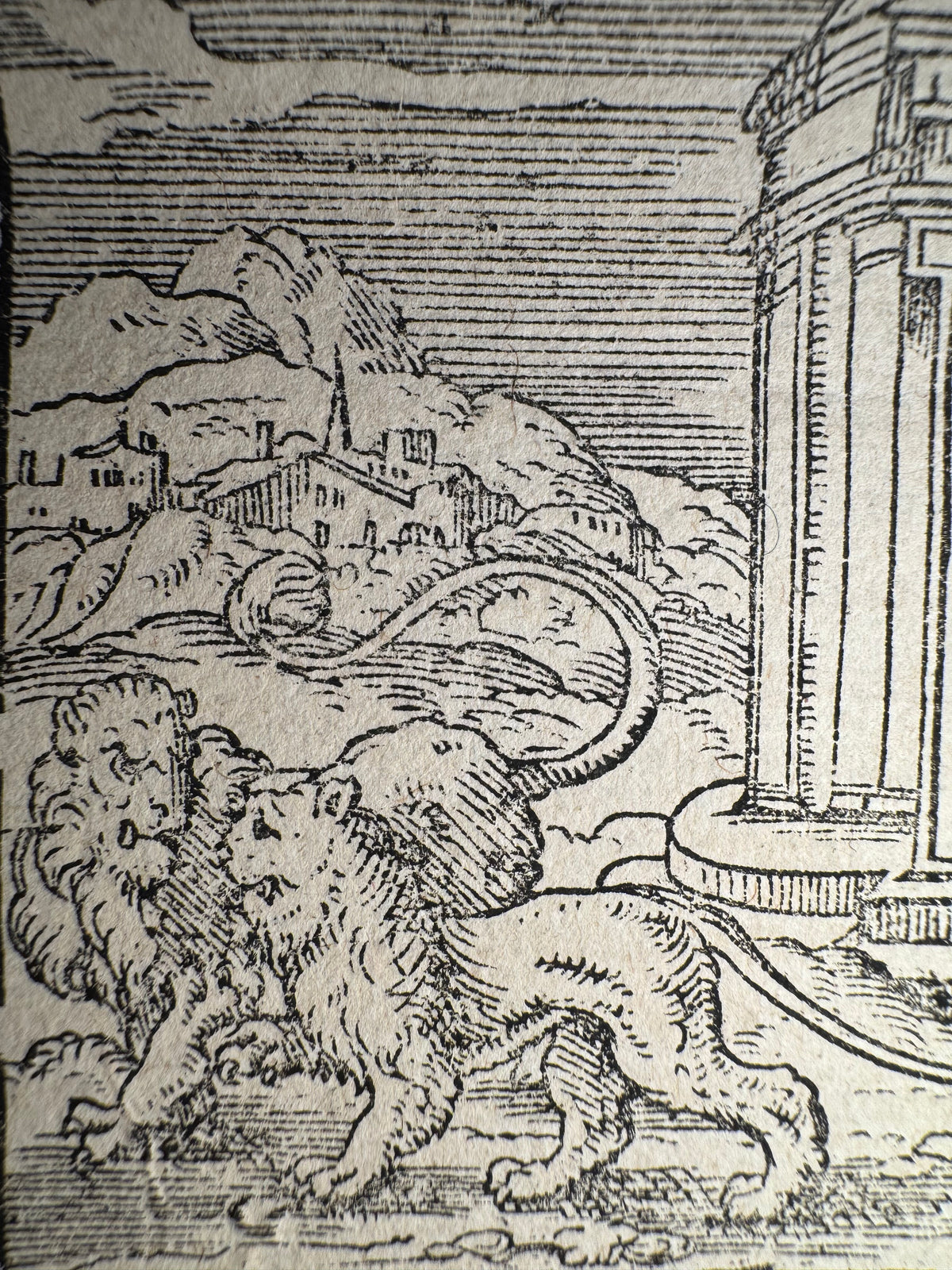 Original 16th-Century Virgil Solis Woodcut — Atalanta & Hippomenes Transformed into Lions