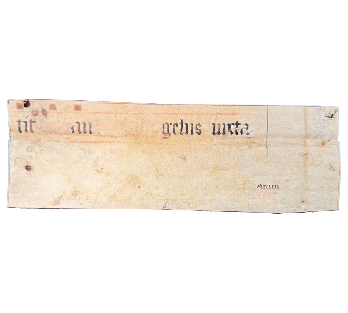 Medieval Antiphonal Fragment – Gaude Maria Virgo – c. 14th–15th Century