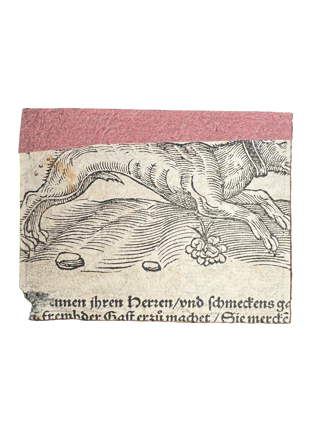 Original 16th-Century Virgil Solis Woodcut — Venus and Adonis