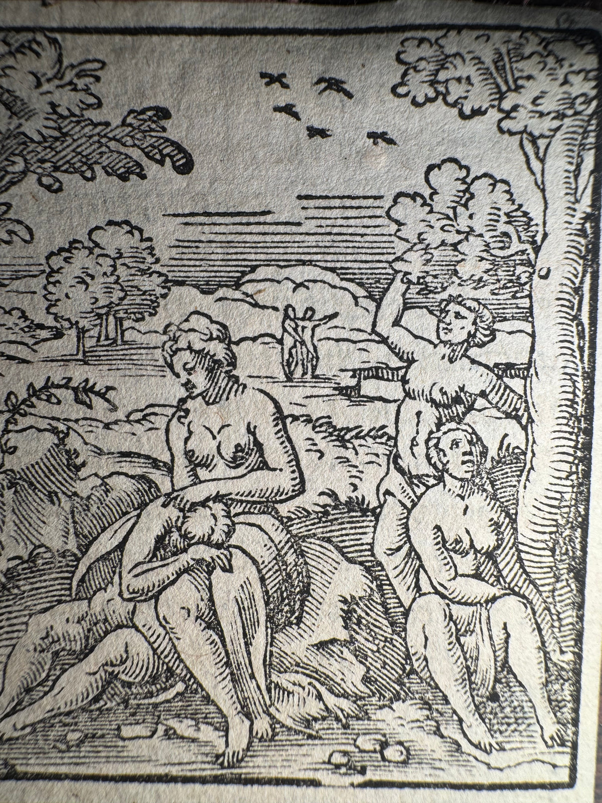 Original 16th-Century Virgil Solis Woodcut — The Creation of Mankind