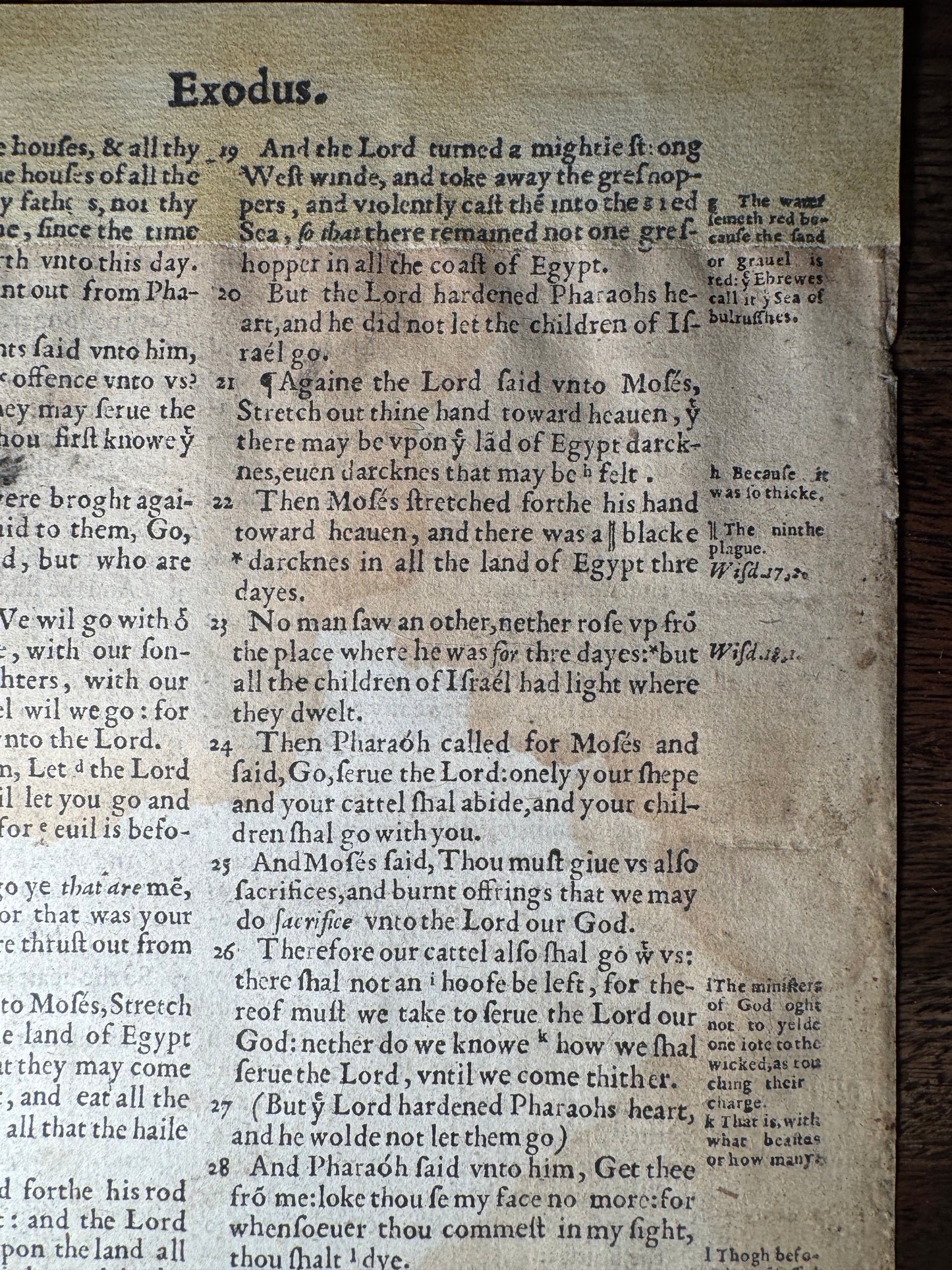 1560 First Edition Geneva Bible Leaf