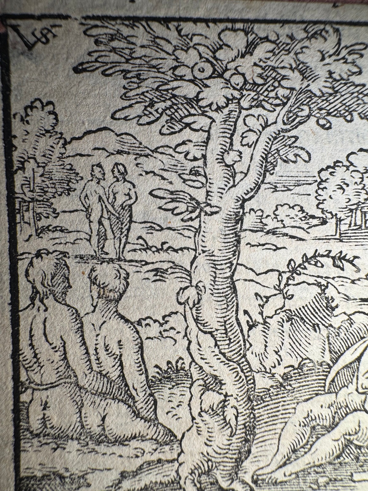 Original 16th-Century Virgil Solis Woodcut — The Creation of Mankind