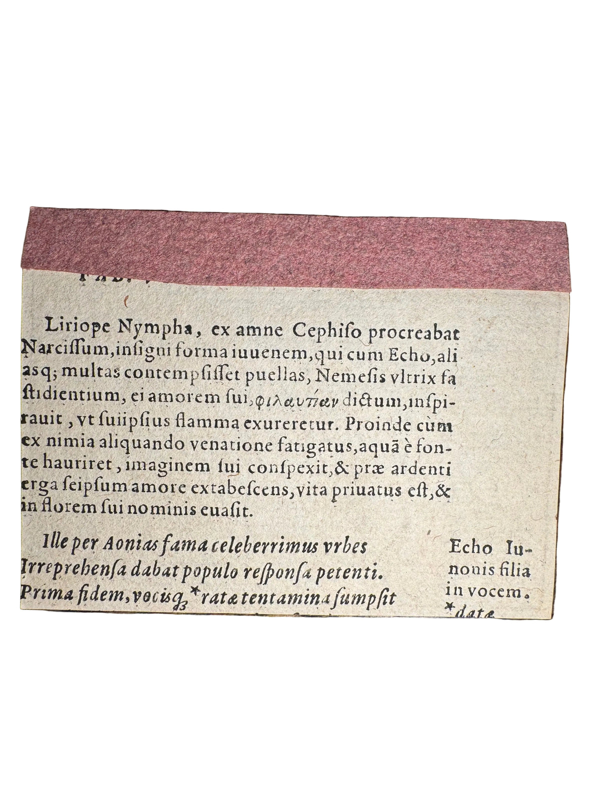 Original 16th-Century Renaissance Woodcut — Narcissus at the Fountain