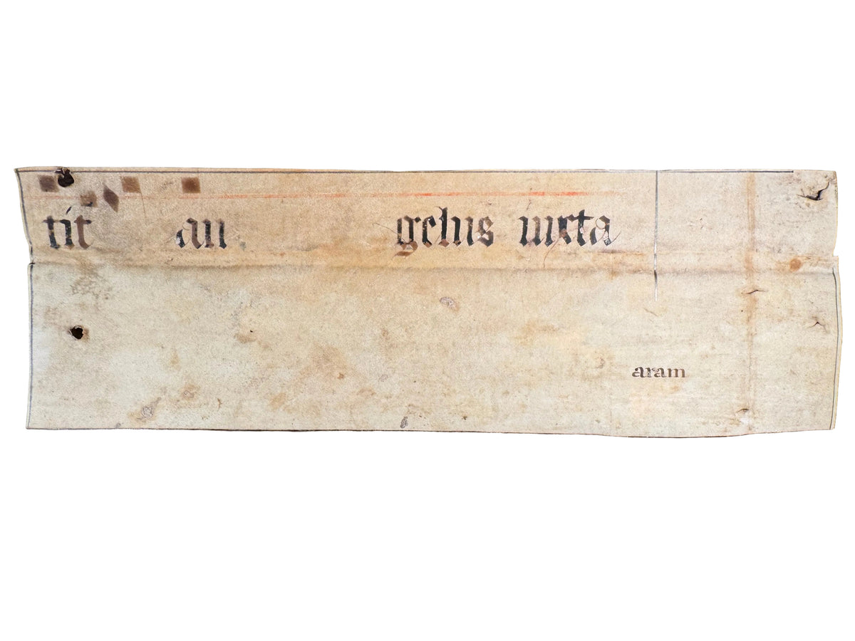 Medieval Antiphonal Fragment – Gaude Maria Virgo – c. 14th–15th Century