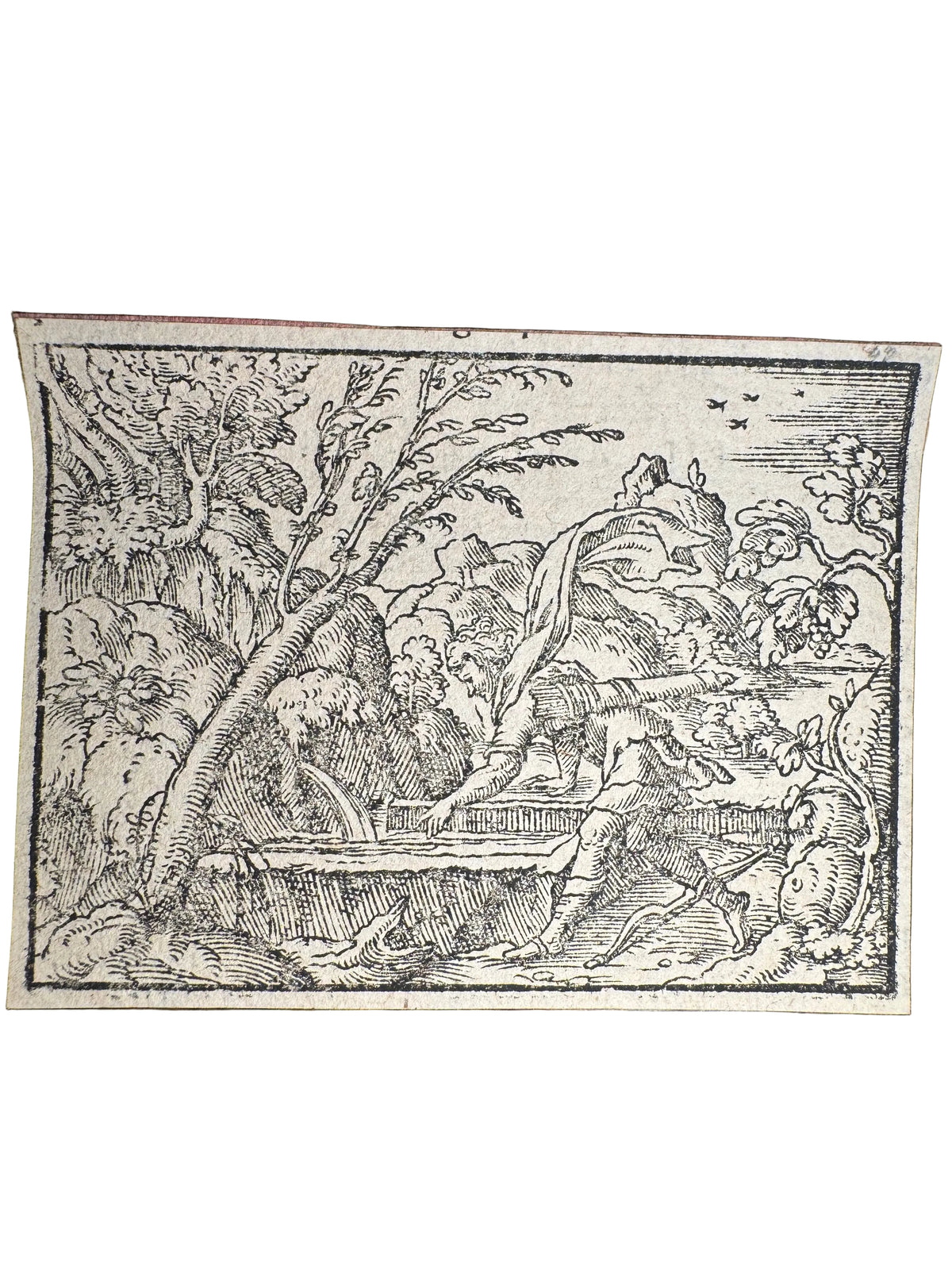 Original 16th-Century Renaissance Woodcut — Narcissus at the Fountain