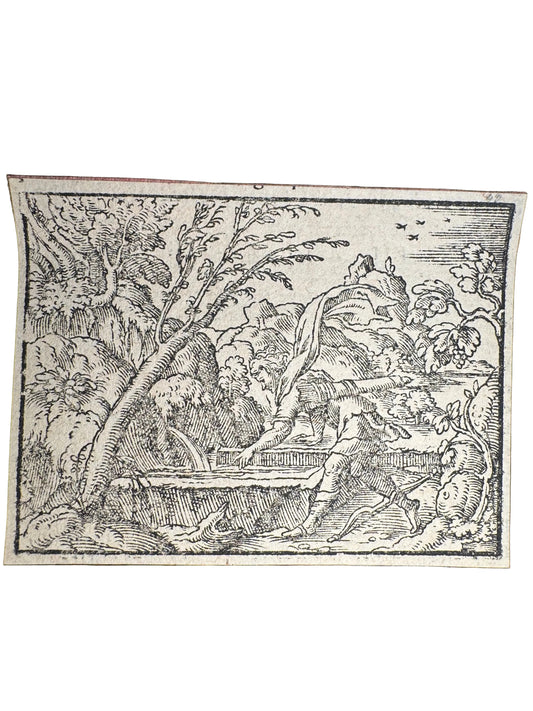 Original 16th-Century Renaissance Woodcut — Narcissus at the Fountain