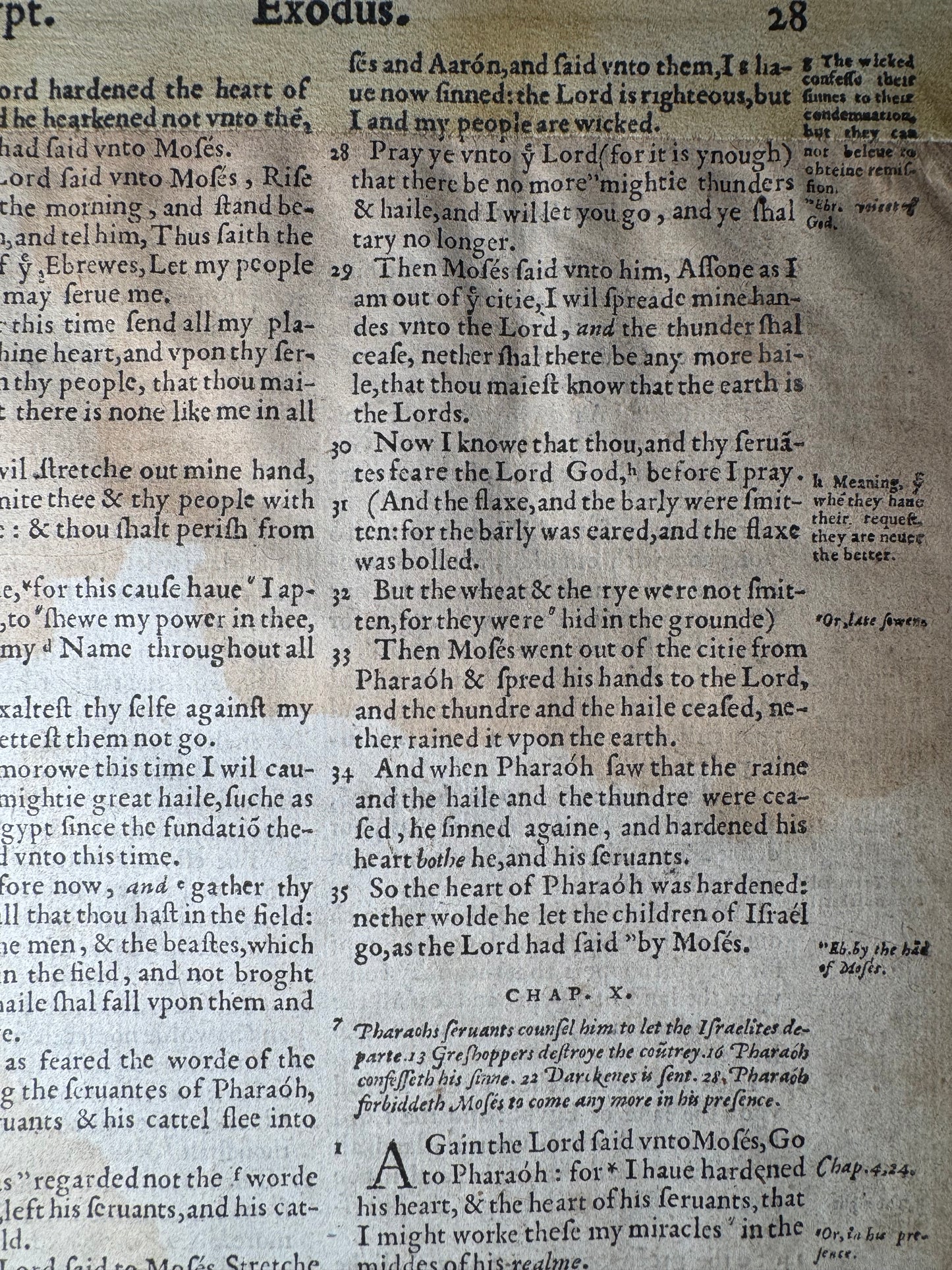 1560 First Edition Geneva Bible Leaf