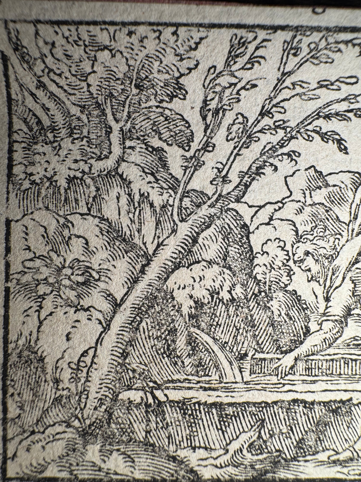 Original 16th-Century Renaissance Woodcut — Narcissus at the Fountain