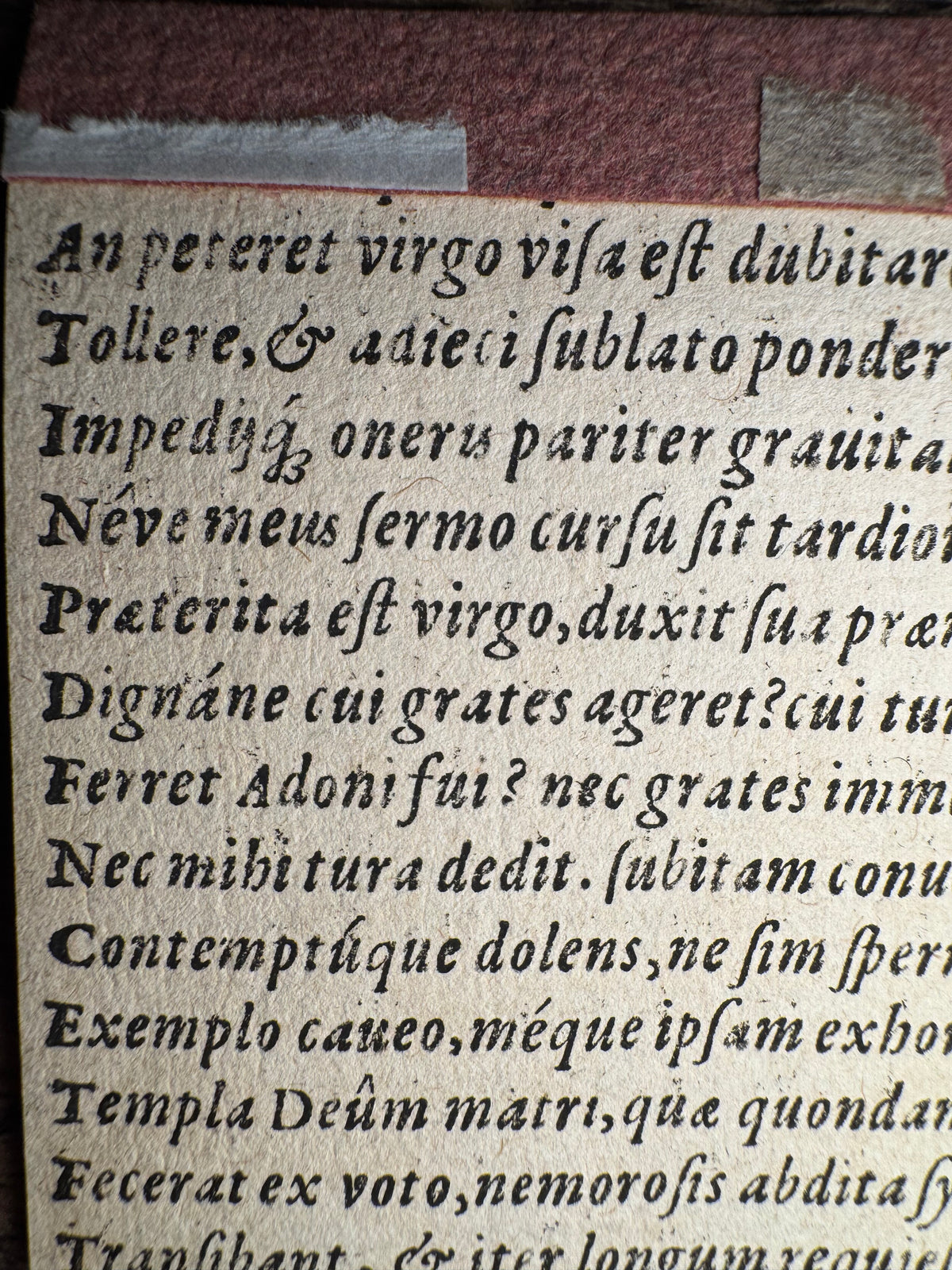 Original 16th-Century Virgil Solis Woodcut — Atalanta & Hippomenes Transformed into Lions