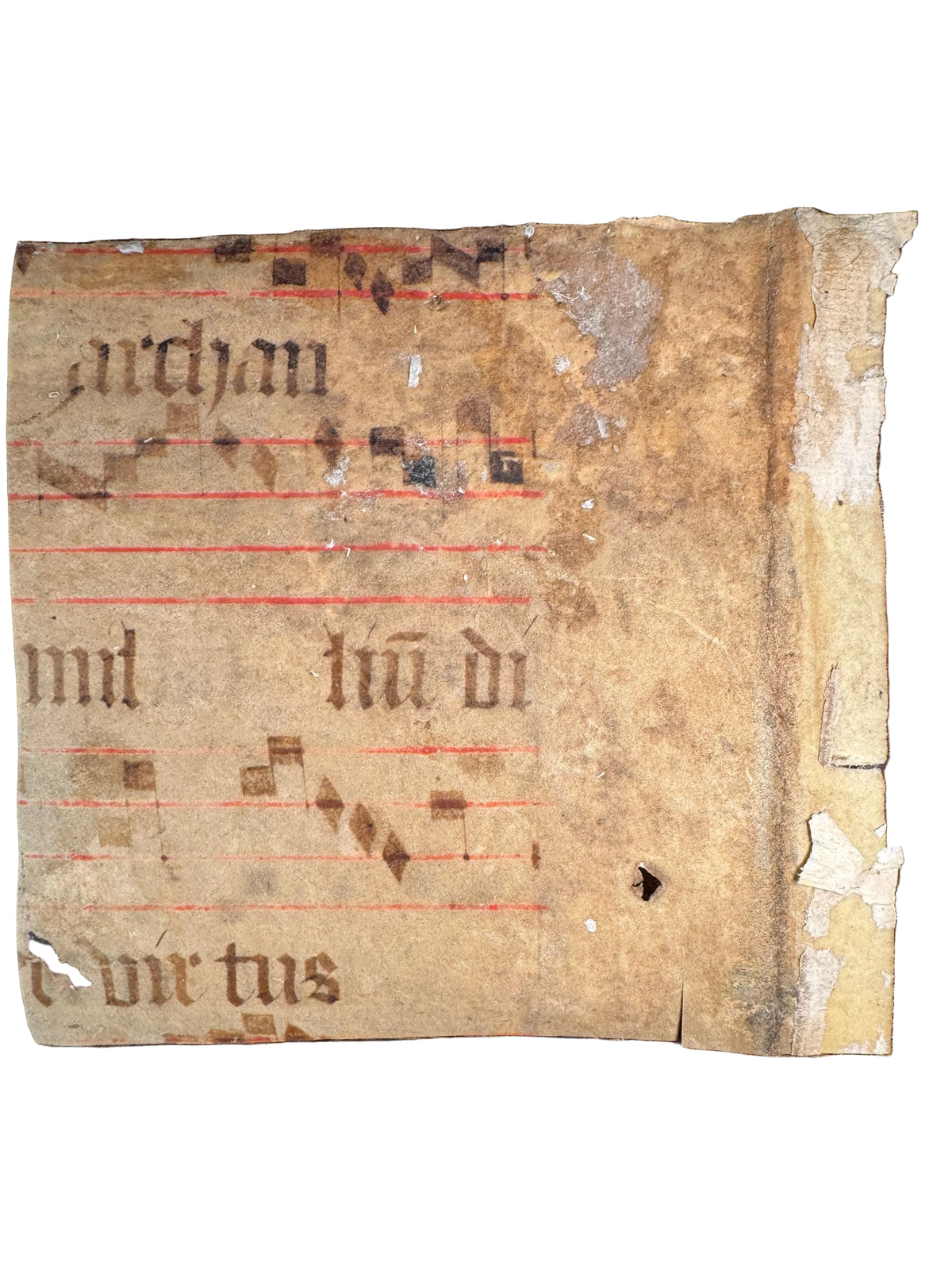 Medieval Antiphonal Fragment – Gaude Maria Virgo – c. 14th–15th Century