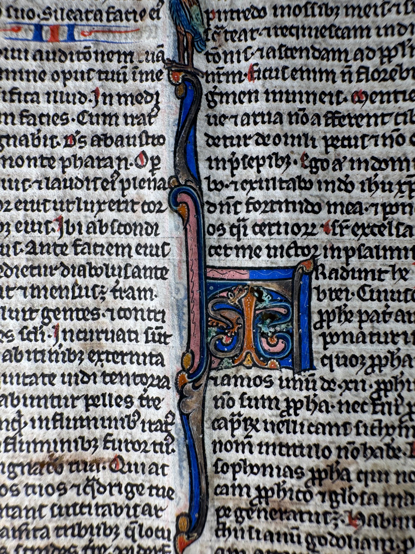 13th-Century Bible Manuscript Leaf on Vellum – Habakkuk to Zephaniah (c. 1280, France)