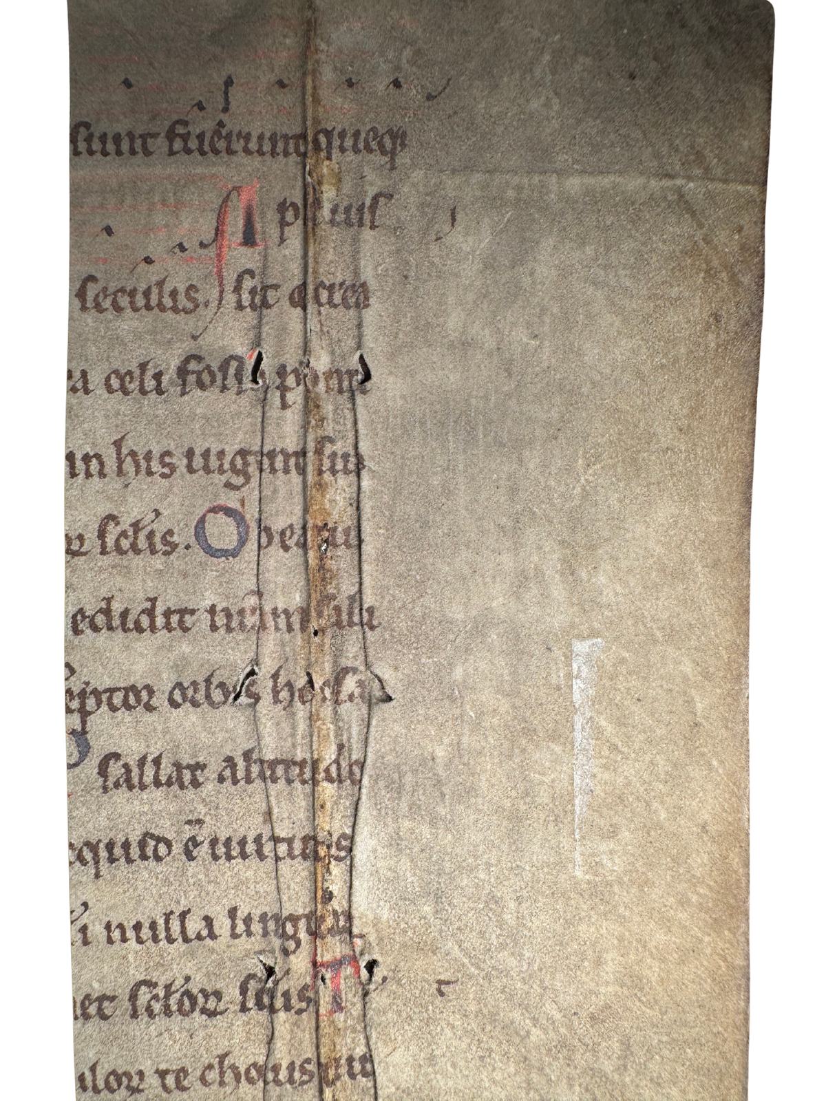 Medieval Latin Manuscript Fragment — Deus Creator Omnium — Hymn of St. Ambrose — c. 13th/14th Century