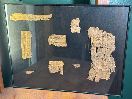 Eight Ancient Egyptian Papyrus Fragments w/ Demotic ca. 30 BC–AD 400