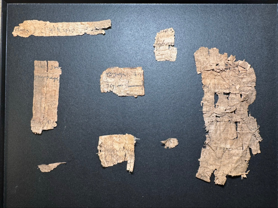 Eight Ancient Egyptian Papyrus Fragments w/ Demotic ca. 30 BC–AD 400