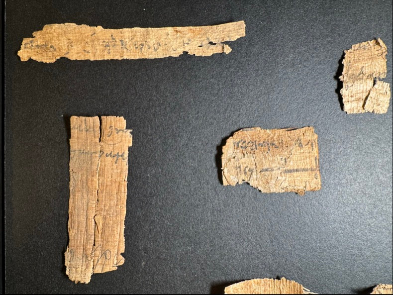 Eight Ancient Egyptian Papyrus Fragments w/ Demotic ca. 30 BC–AD 400