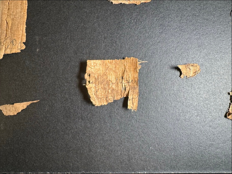 Eight Ancient Egyptian Papyrus Fragments w/ Demotic ca. 30 BC–AD 400
