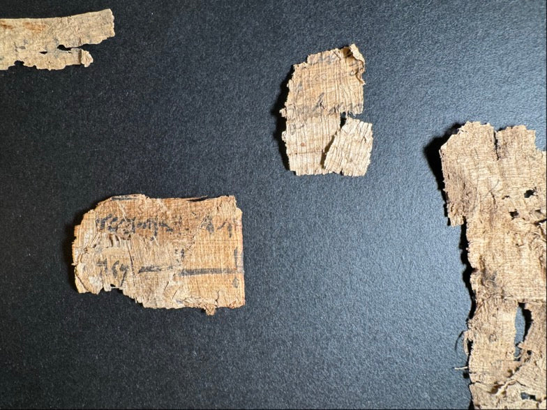 Eight Ancient Egyptian Papyrus Fragments w/ Demotic ca. 30 BC–AD 400
