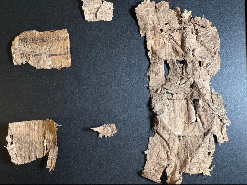Eight Ancient Egyptian Papyrus Fragments w/ Demotic ca. 30 BC–AD 400
