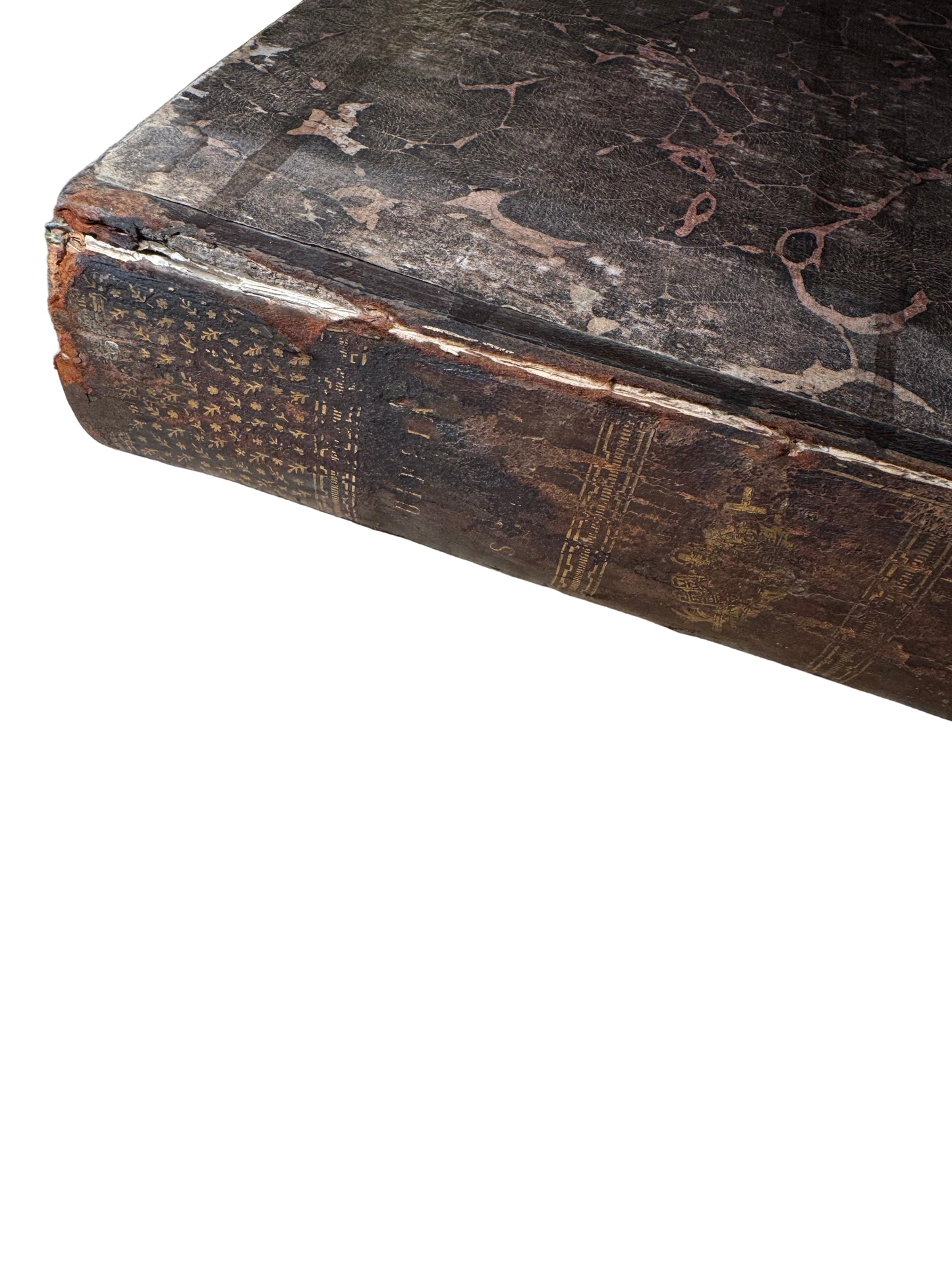 1599 Polyglot Bible by François Vatablé — Greek, Hebrew & Latin | Heidelberg, Commelinus
