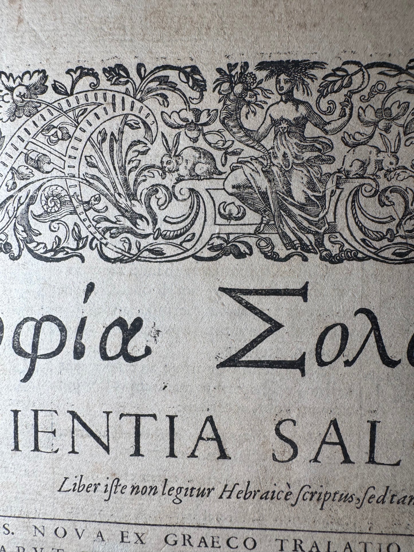1599 Polyglot Bible by François Vatablé — Greek, Hebrew & Latin | Heidelberg, Commelinus