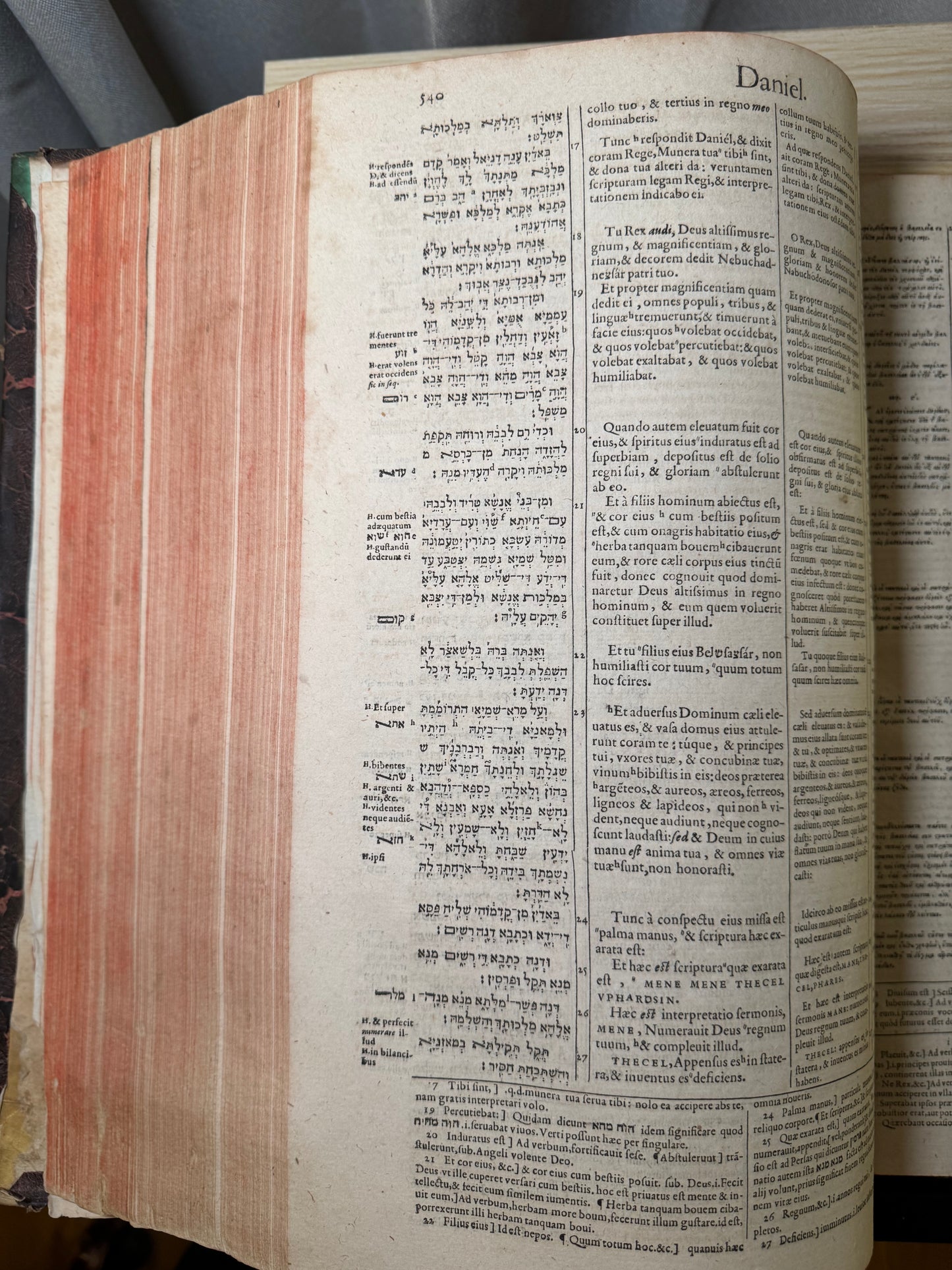 1599 Polyglot Bible by François Vatablé — Greek, Hebrew & Latin | Heidelberg, Commelinus