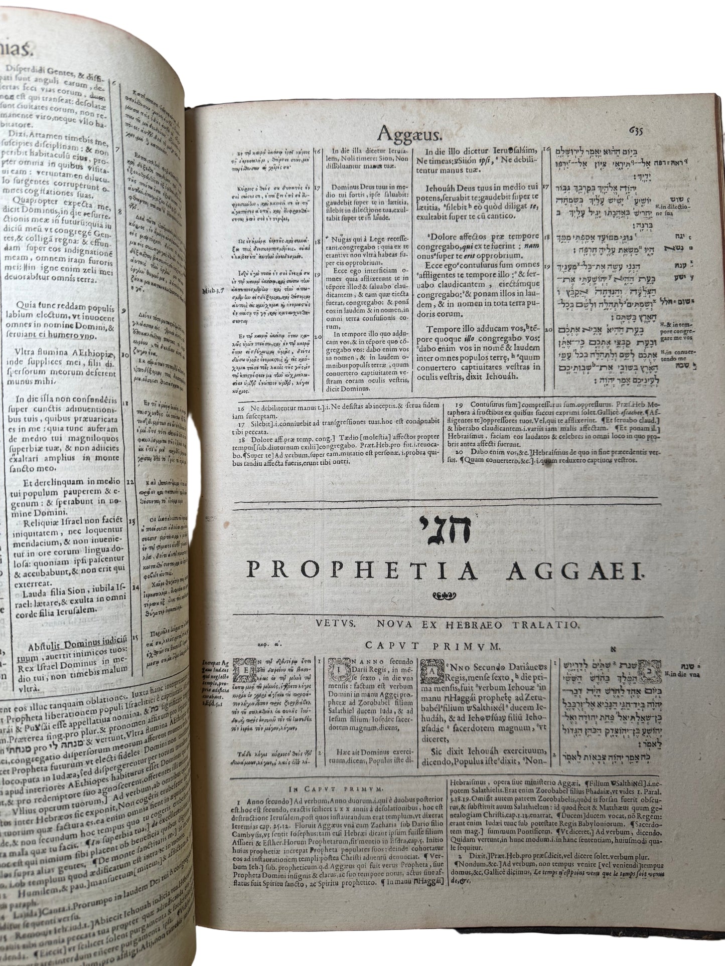 1599 Polyglot Bible by François Vatablé — Greek, Hebrew & Latin | Heidelberg, Commelinus