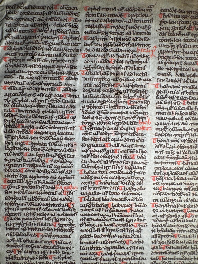 1250 Latin Bible Leaf – Interpretation Hebrew Names – Gothic Script Vellum