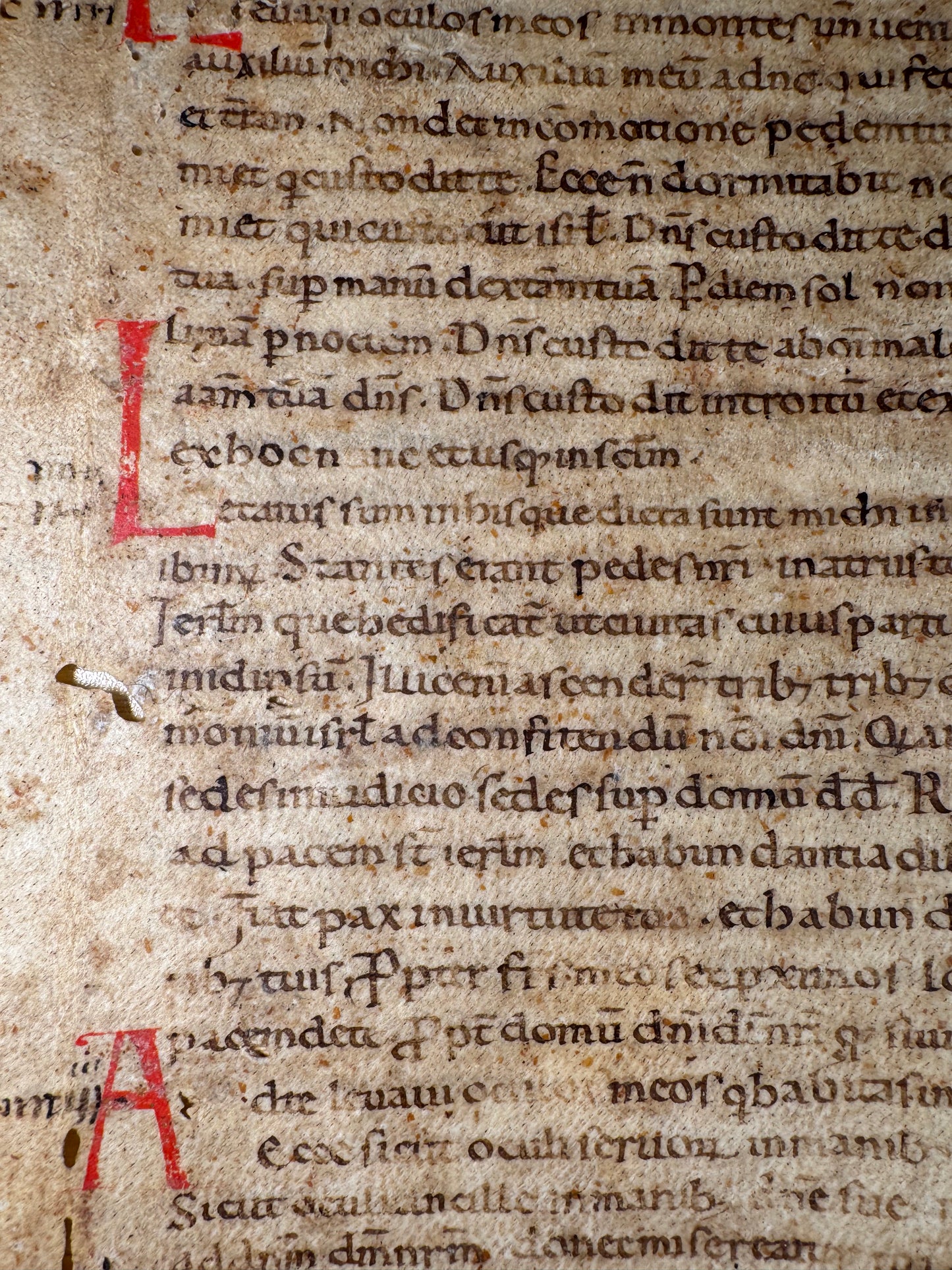 12th-Century Latin Psalter Leaf – Italy, c. 1150 – Early Gothic Script
